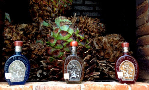 Los Tres To�os Tequila House at Valladolid's Cinco Calles Plaza